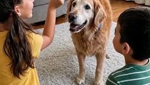 He's 14... But He Still Knows the Trick 🥹🐶