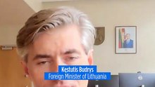 Germany's brigade key to deterring Russia, Lithuanian FM tells Euronews