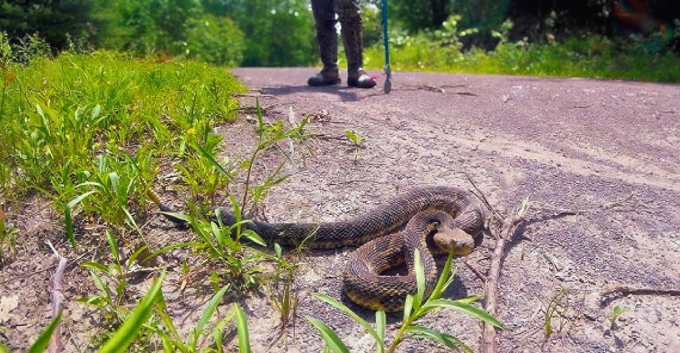 Seven rattlesnake hotspots in Kentucky