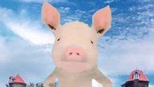 The Piglet's Can-Can Dance