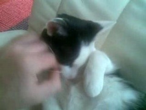 Câlin du matin, trop bien