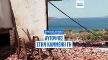 Θλίψη και μαυρίλα: Η επόμενη μέρα της πυρκαγιάς στη Δυτική Αττική - Αυτοψίες στο Πόρτο Γερμενό