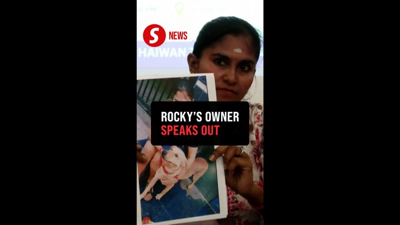 Rocky's owner shares her side of the story