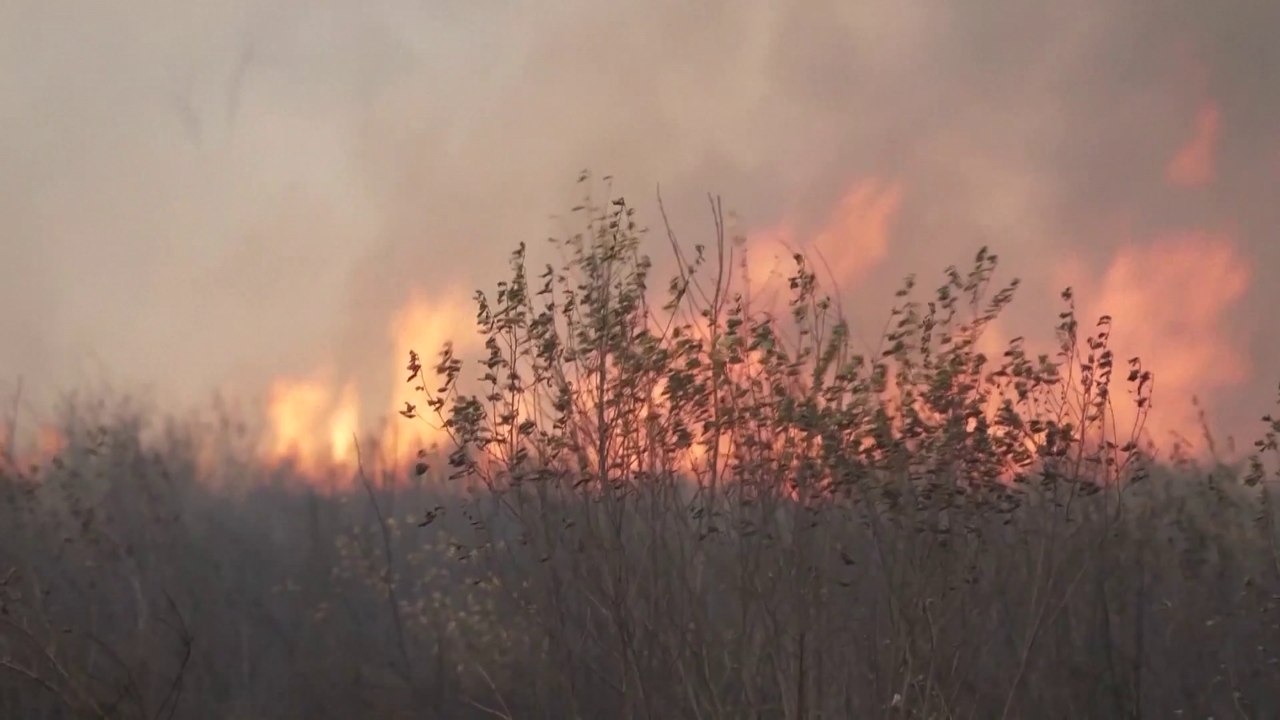 Wildfires across Europe largely contained, but economic toll runs deep