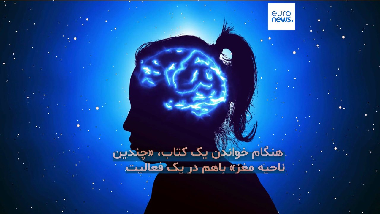 علم چه می‌گوید؛ آیا کتاب خواندن مغز انسان را تغییر می‌دهد؟