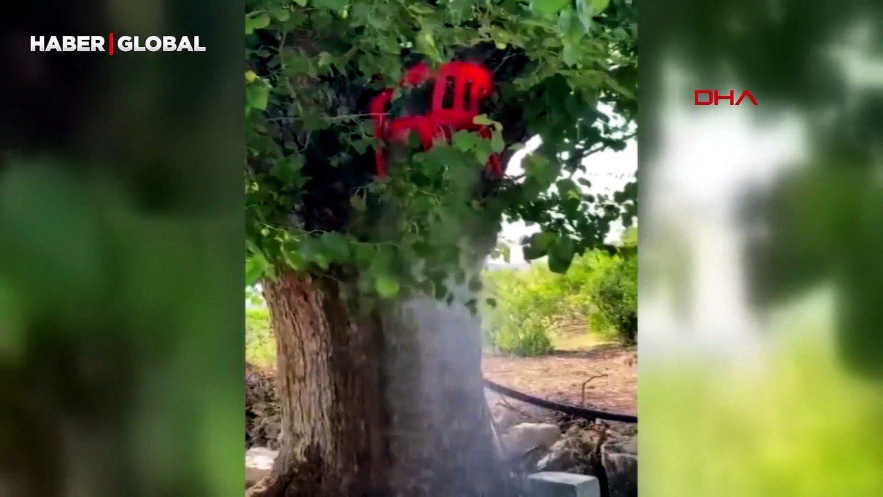 Diyarbakır'da sıcaklık 40 dereceyi aştı, ortaya bu görüntüler çıktı