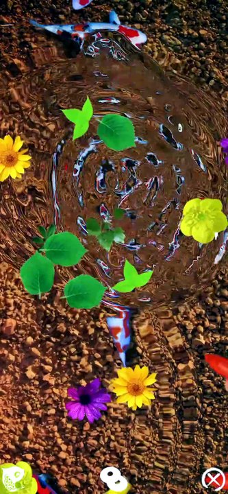 Pond Koi in Summer。