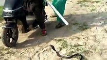 Drya k kinare nag ko pkr lya