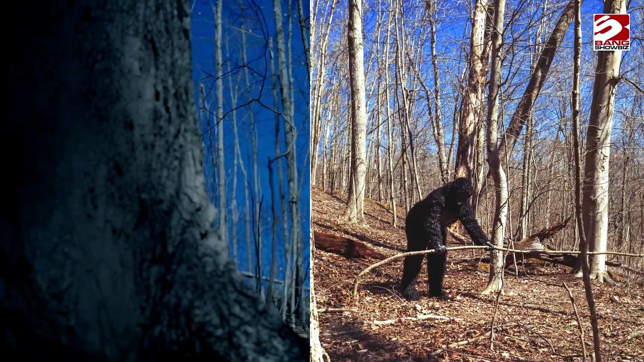 Wanderer in West Virginia nach Verirren im Wald von Bigfoot in Angst versetzt