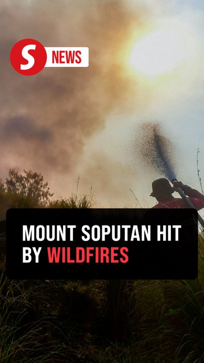 Forest fire chars over 700 hectares in Indonesia's Mount Soputan