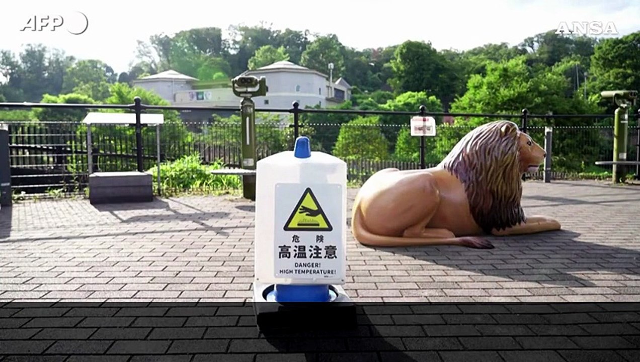 Caldo record a Tokyo, morti tre leoni dello zoo di Tama