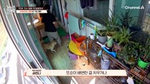 새벽 5시부터 밤 11시까지 7인분 가사+개 돌봄 혼자 하는 새언니?!