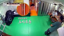 "사람들이 식탁에 앉으면 오지 마" 개 짖음? 한 번에 끝낸다!