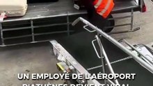 Un employé de l'aéroport d'Athènes devient viral pour sa gentillesse envers les animaux