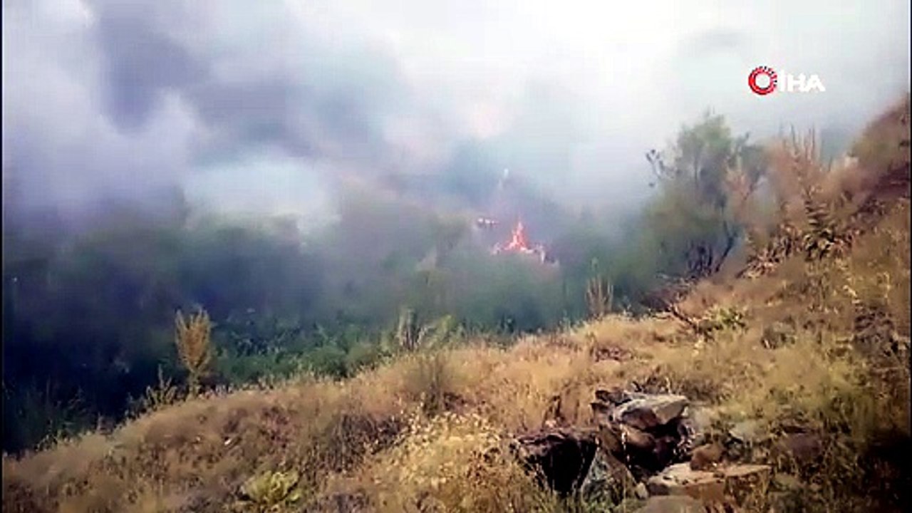 Malatya\'da orman yangını