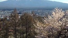 IMAGENS DO JAPÃO
