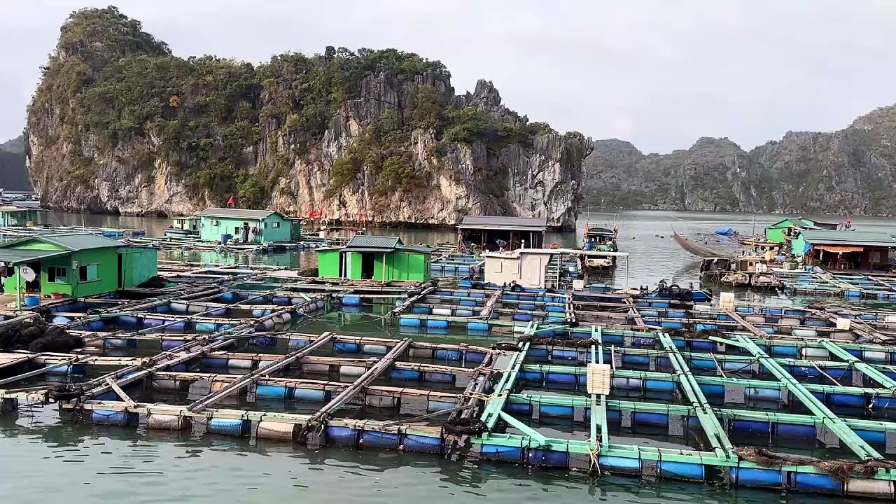 vietnam 2026