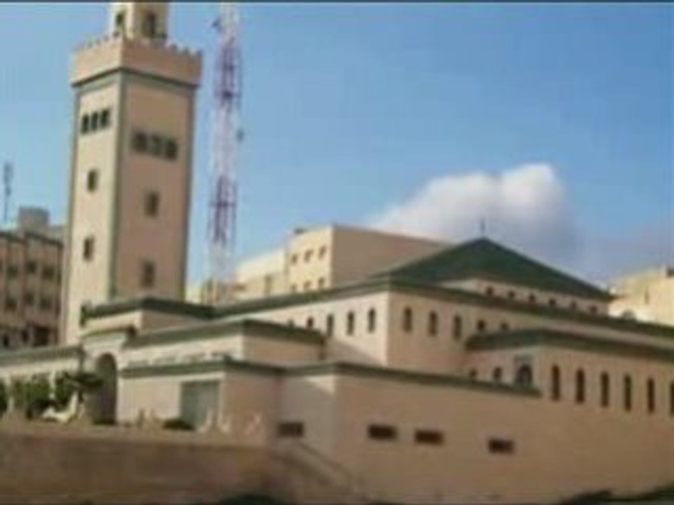 Hamid Oussama-Camélia