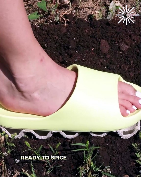 Become a plant pro with these easy tips and tricks! 🌱