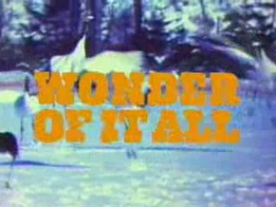 The Wonder of it All