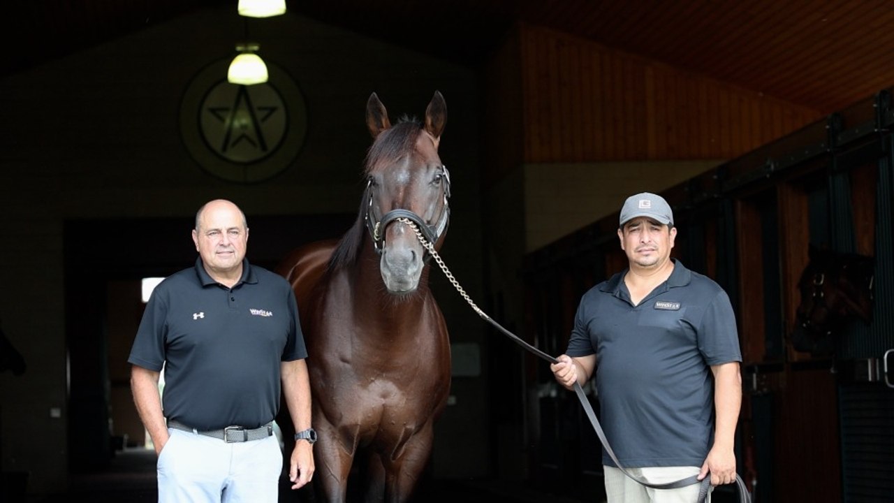 How Life Is Good's Early Foundation Is Shaping His Stallion Success