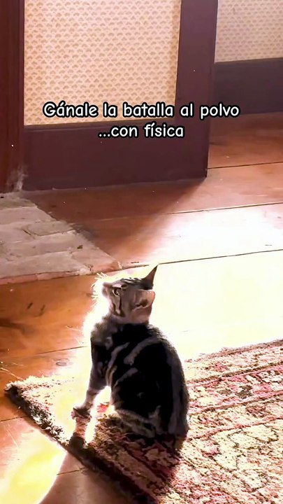El truco casero para evitar que el polvo vuelva a los muebles después de limpiar