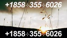 @@24%7%『COINBASE CUSTOMER®』 SUPPORT© NUMBERS TOLL FREE NUMBER: Easy Step by Step Guide