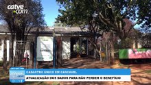 Mais de 6 mil famílias precisam atualizar o Cadastro Único em Cascavel