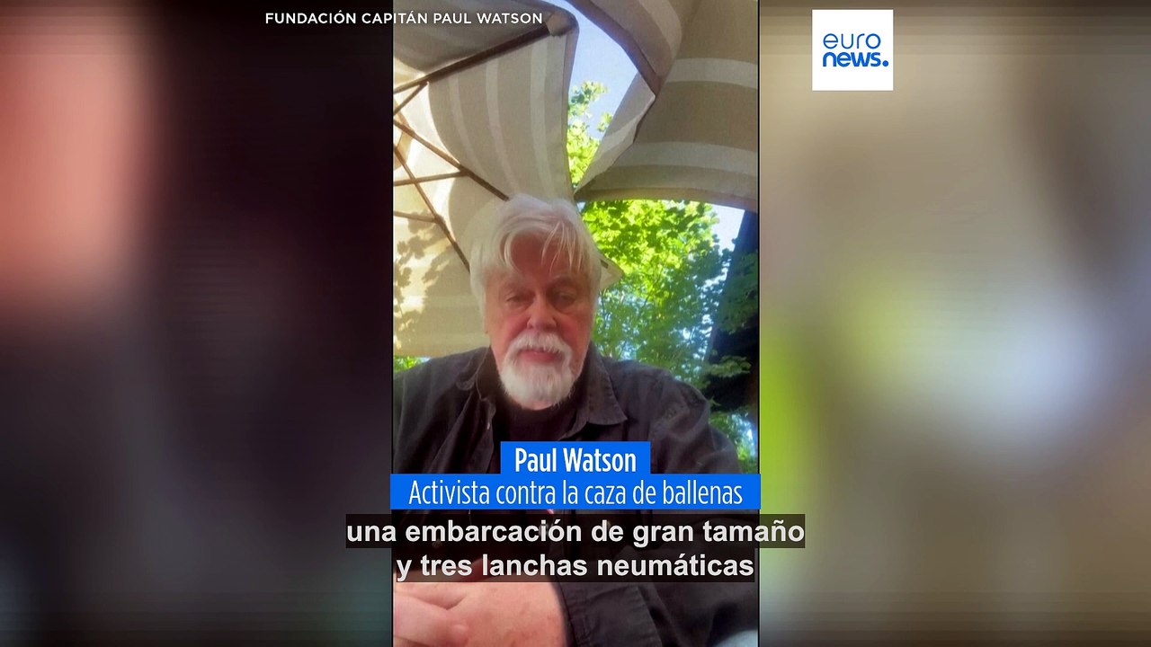 Islandia expulsa y prohíbe volver al país a 21 activistas contra la caza de ballenas
