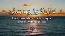 ﴿ الْحَمْدُ لِلَّهِ الَّذِي خَلَقَ السَّمَاوَاتِ وَالْأَرْضَ وَجَعَلَ الظُّلُمَاتِ وَالنُّورَ ﴾
