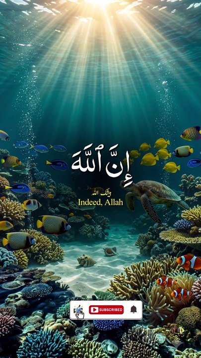 Islam s power