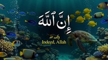 Islam s power