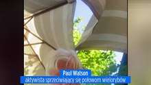 Islandia wydala 21 aktywistów. Próbowali powstrzymać statek wielorybniczy