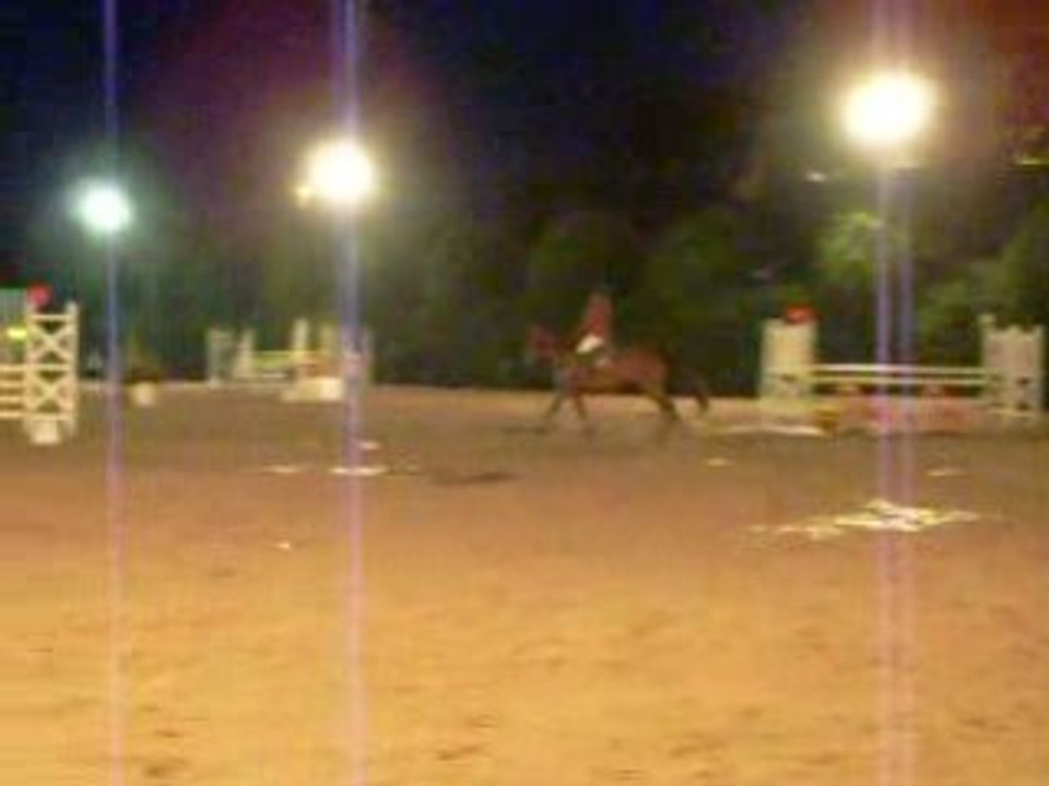 DSCN1333
