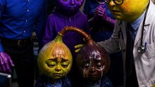 Fig Twins Part 5