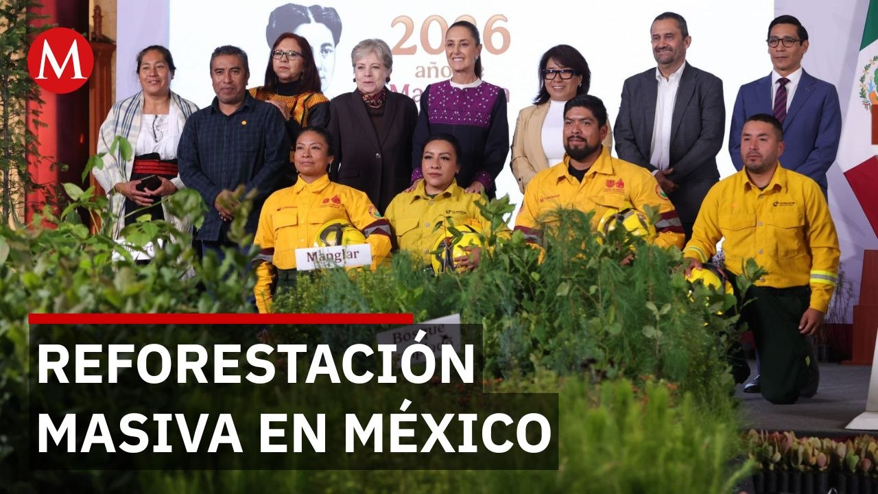 Sheinbaum lanza la Jornada Nacional de Reforestación con miras a volverla anual