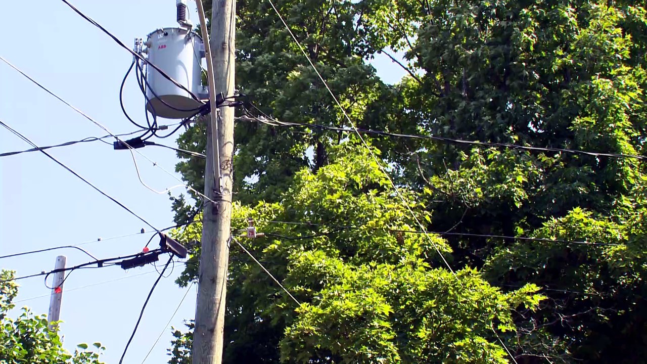 Saint-Jean-Port-Joli conteste la nouvelle réglementation de travaux d'arboriculture