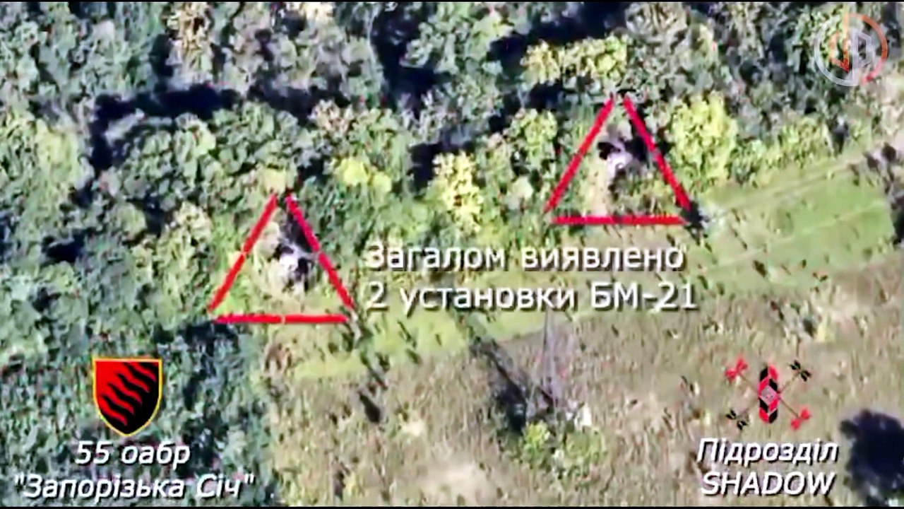 Arde la mitad de las "Bayas Salvajes" de Putin