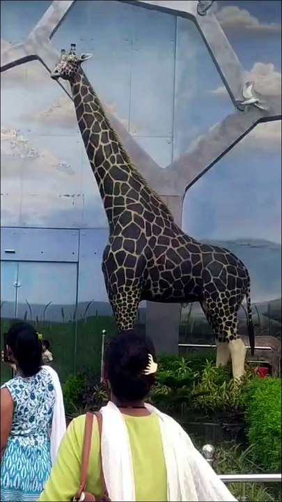 Zeeraf/ wildlife photography/ Zoological Garden: Zoo