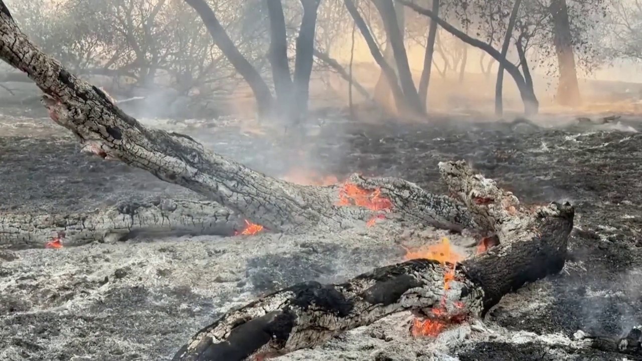 Etats-Unis : un homme arrêté pour incendie volontaire à Spokane