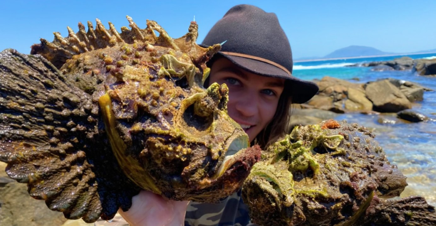 The 12 Most Poisonous Creatures Hiding in American Waters