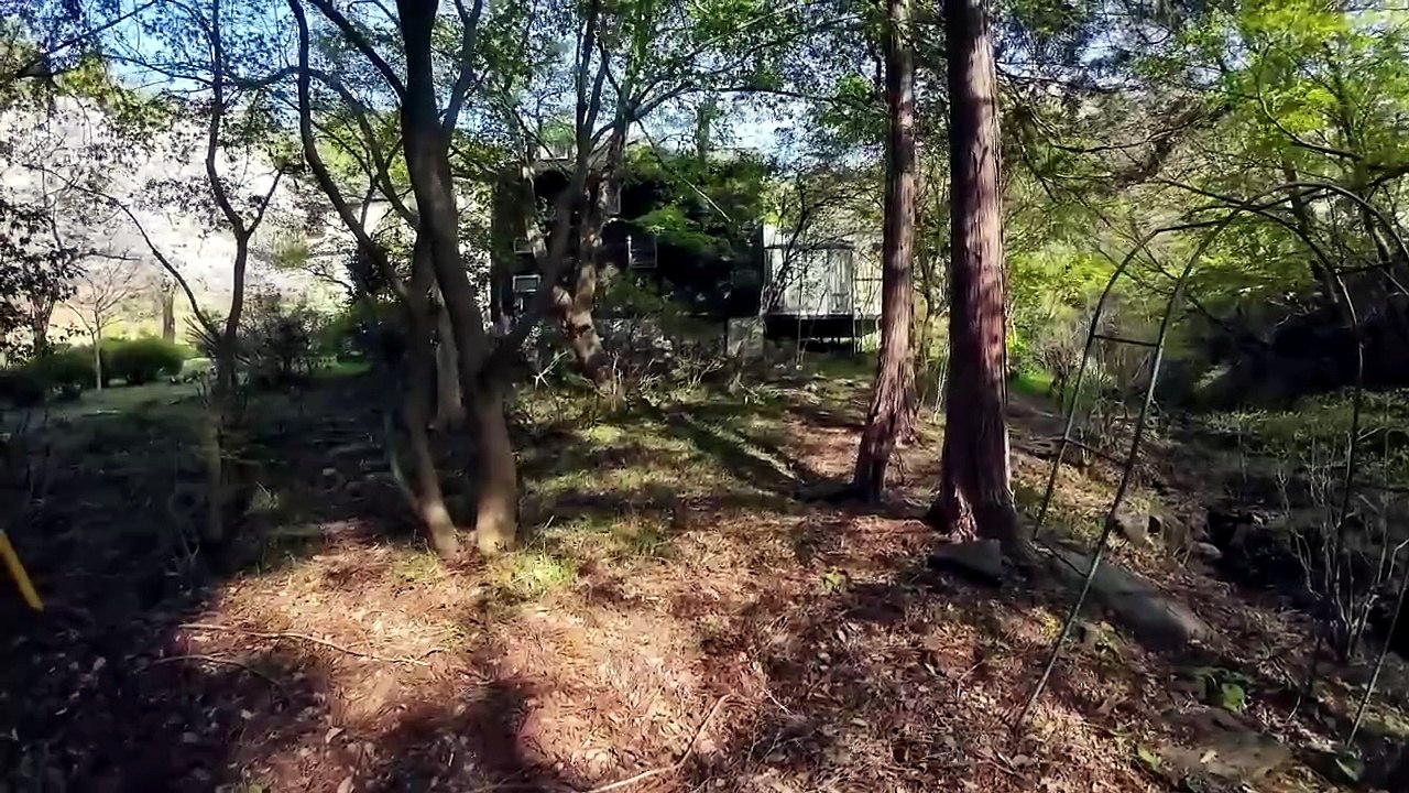Neighbors in Japan