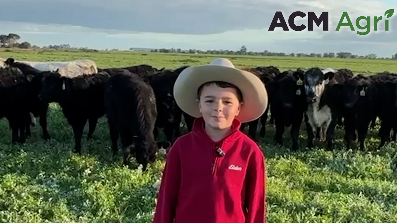 Budding auctioneer shares what he loves about the farm