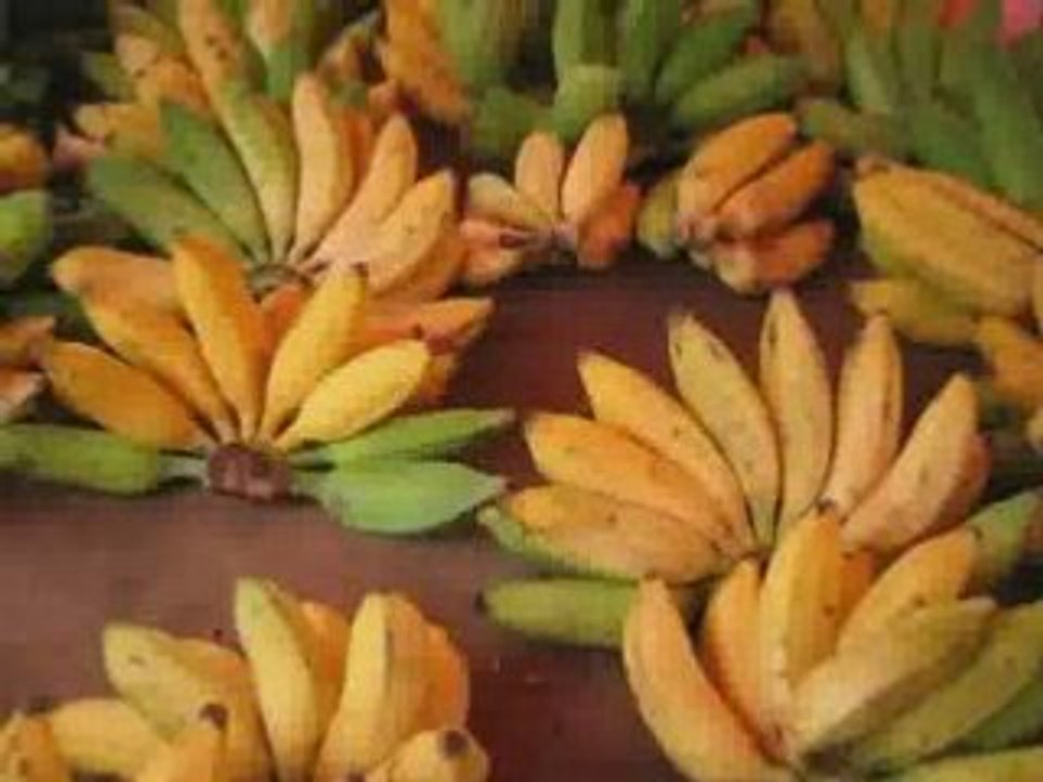 Ghania et Djamel Ski - Chagour wal fouchi