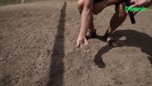 En Wallonie, les terrains de foot sont déjà mal en point