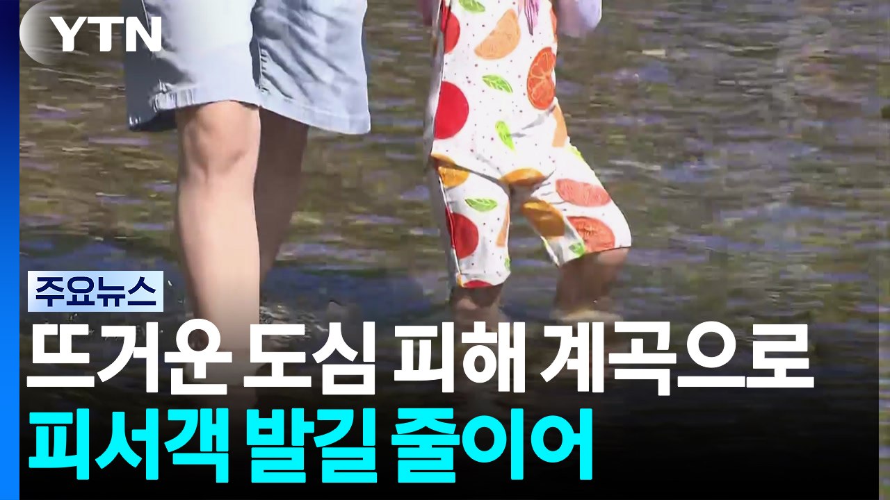 뜨거운 도심 피해 계곡으로...피서객 발길 줄이어 / YTN