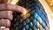 I Married the Stone Egg My Fiancé Gave Me New Movie 🔝 - 🧡🍏 🔥[Hot 2026] (2026) - FULL ENGSUB | Reelshort Hot HD [Full Movie]
