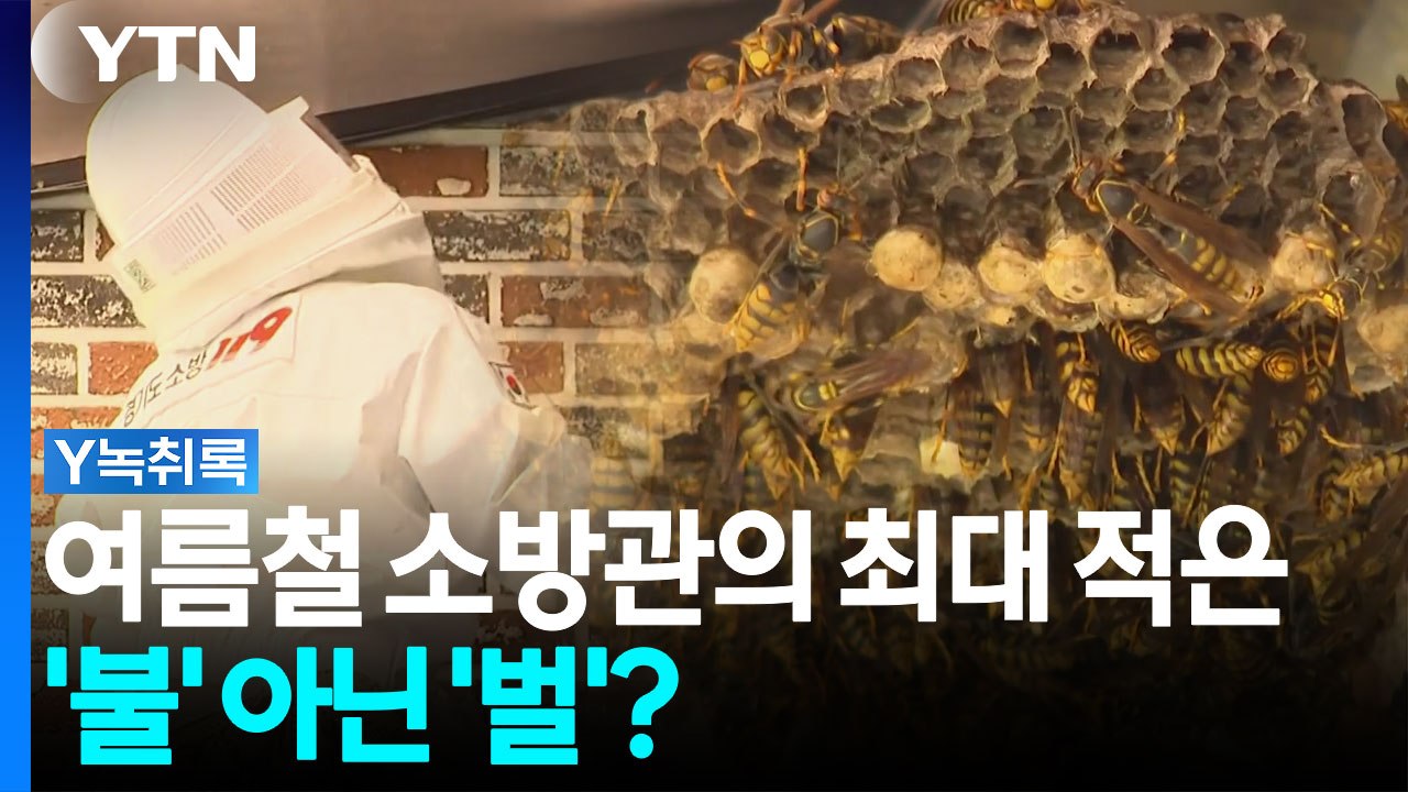 폭염에도 보호복 겹겹이...여름철 소방관 최대 적은 '불' 아닌 '벌'? [Y녹취록] / YTN