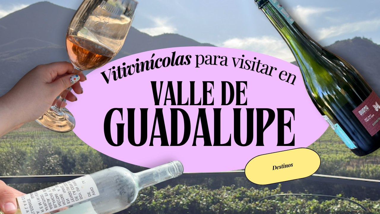 Vitivinícolas en Valle de Guadalupe