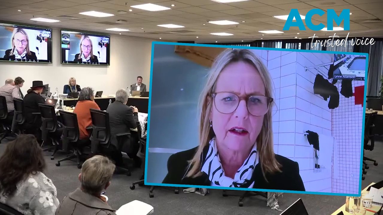 'You can see my washing?': NZ councillor's bizarre bathroom Zoom call goes viral